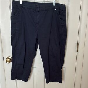 Briggs New York Black Capris Classic Fit